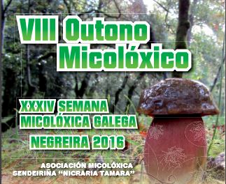 viii-outono-micoloxico