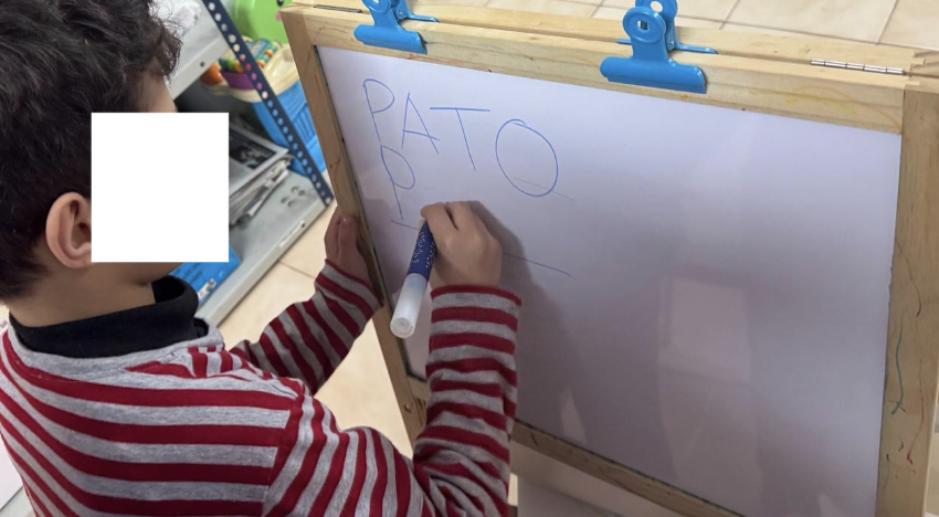Cales son as nosas funcións? 